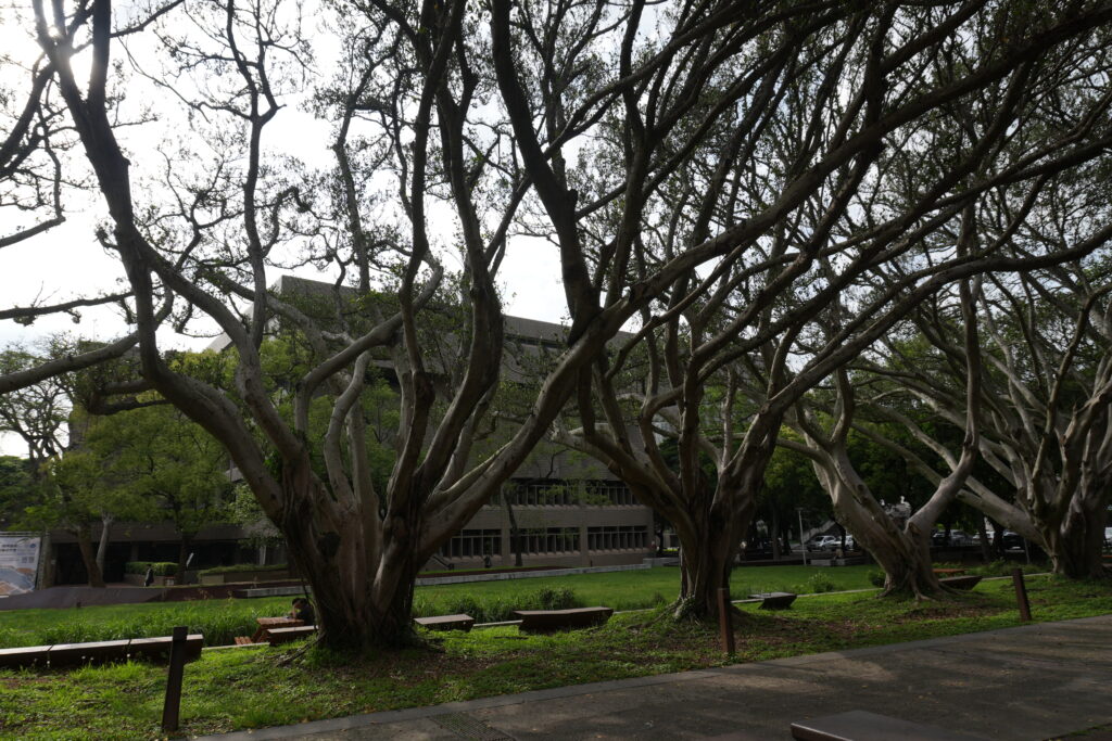 中原大学 華語文教學中心の写真